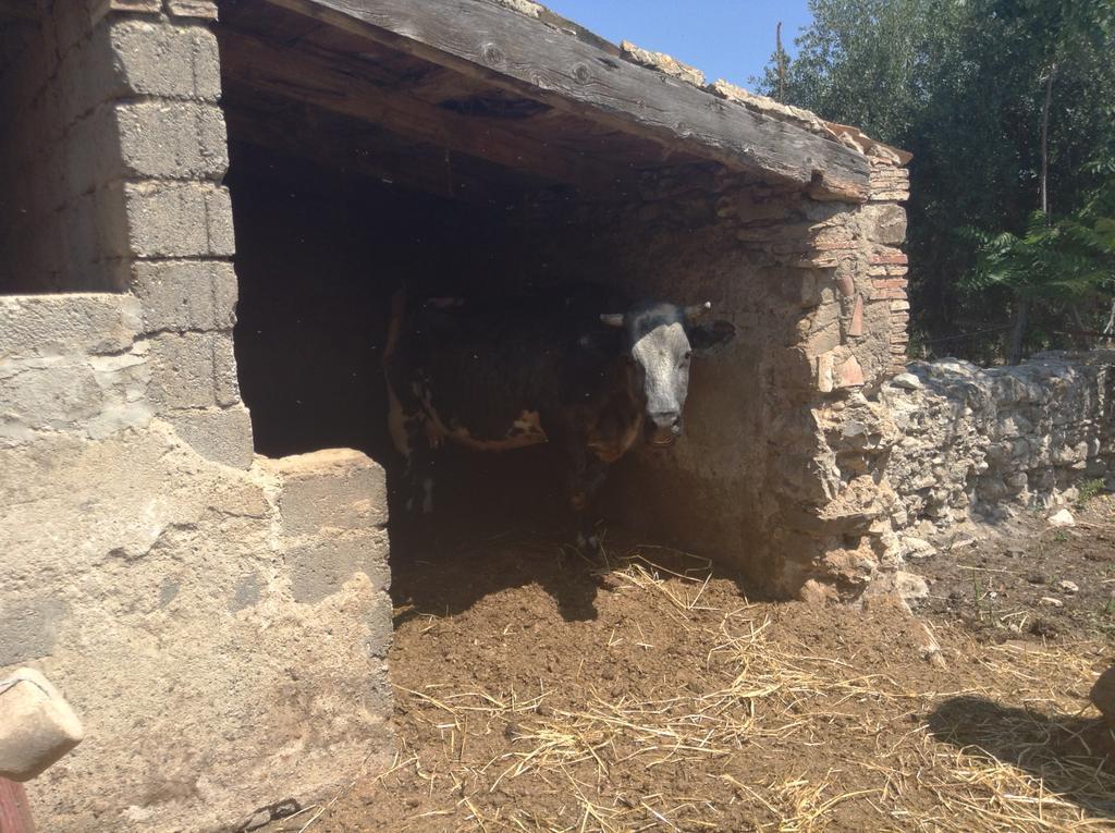 安蒂科佛奥酒店 Cerchiara di Calabria 外观 照片